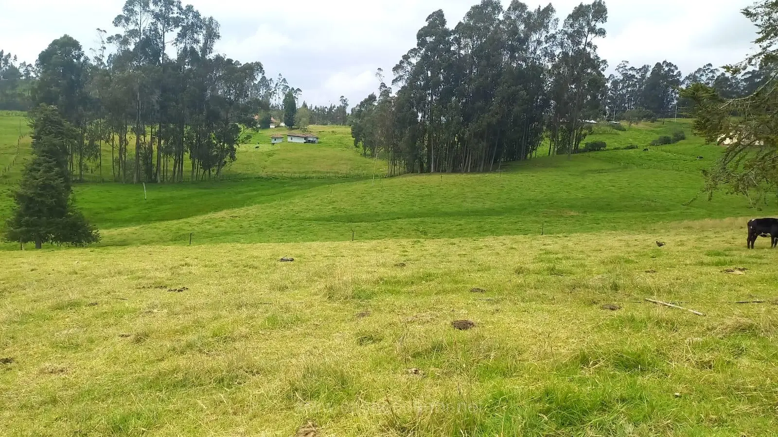 Terreno 3 hectareas Hornapala Deleg 1 Terreno de Venta de Cuenca Hornapala Deleg San Pedro de 31800 mts planos