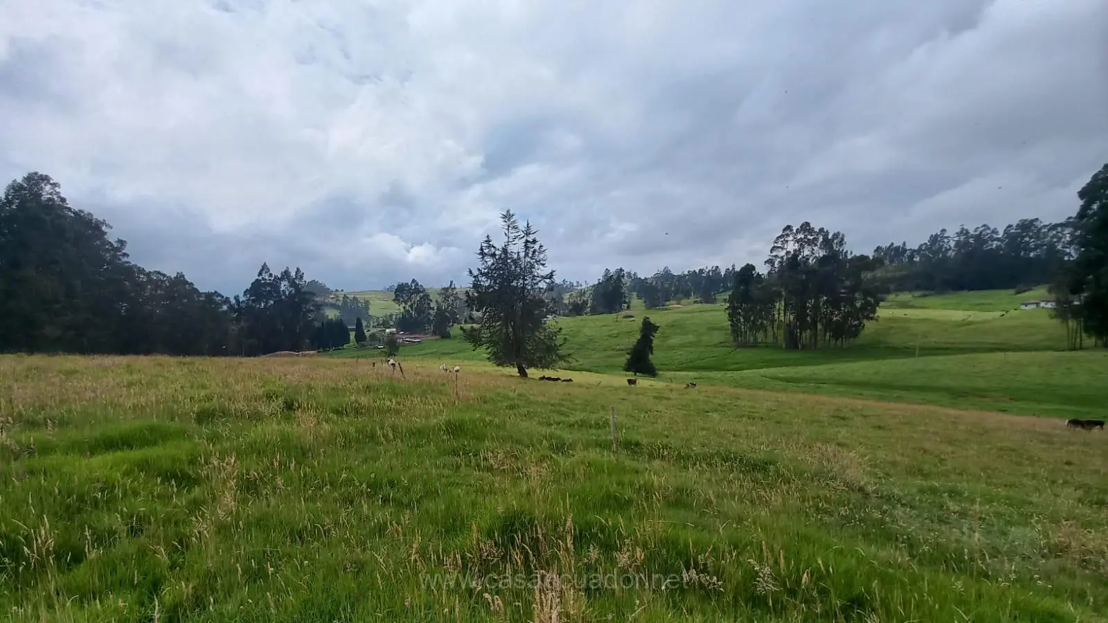 Terreno de Venta de Cuenca Hornapala Deleg San Pedro de 31800 mts planos
