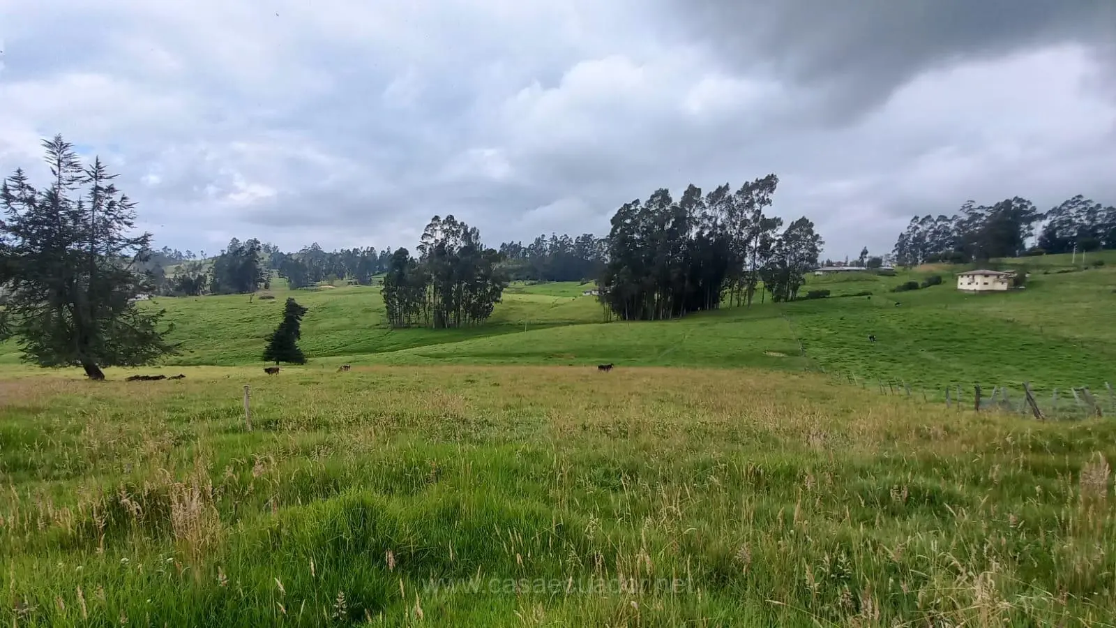 Terreno de Venta de Cuenca Hornapala Deleg San Pedro de 31800 mts planos
