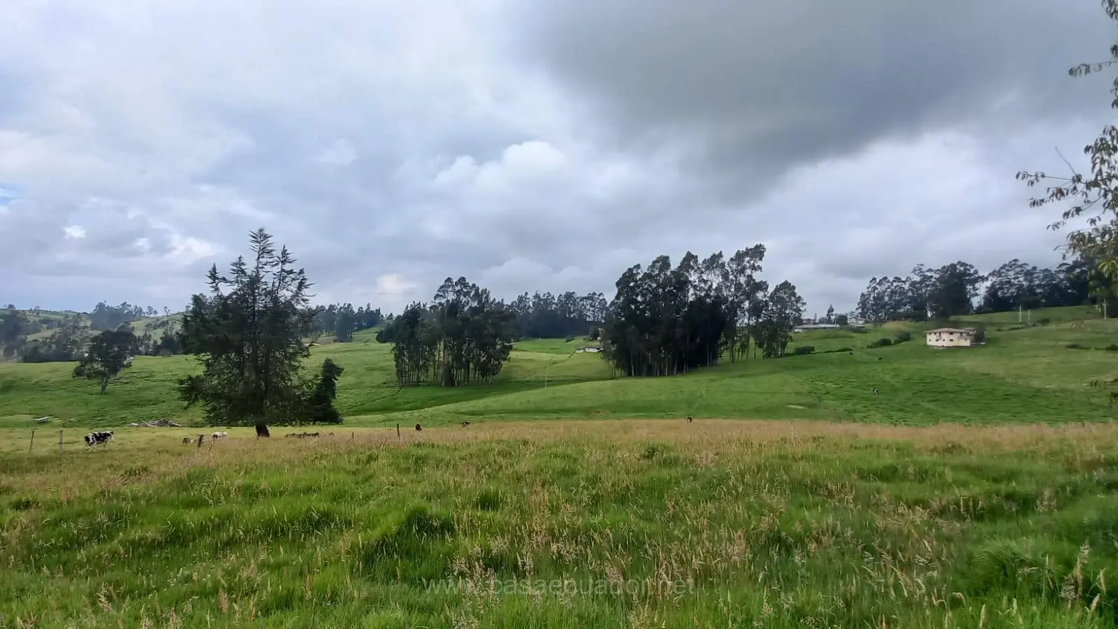 Terreno de Venta de Cuenca Hornapala Deleg San Pedro de 31800 mts planos