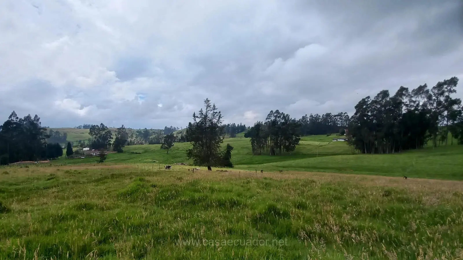 Terreno de Venta de Cuenca Hornapala Deleg San Pedro de 31800 mts planos