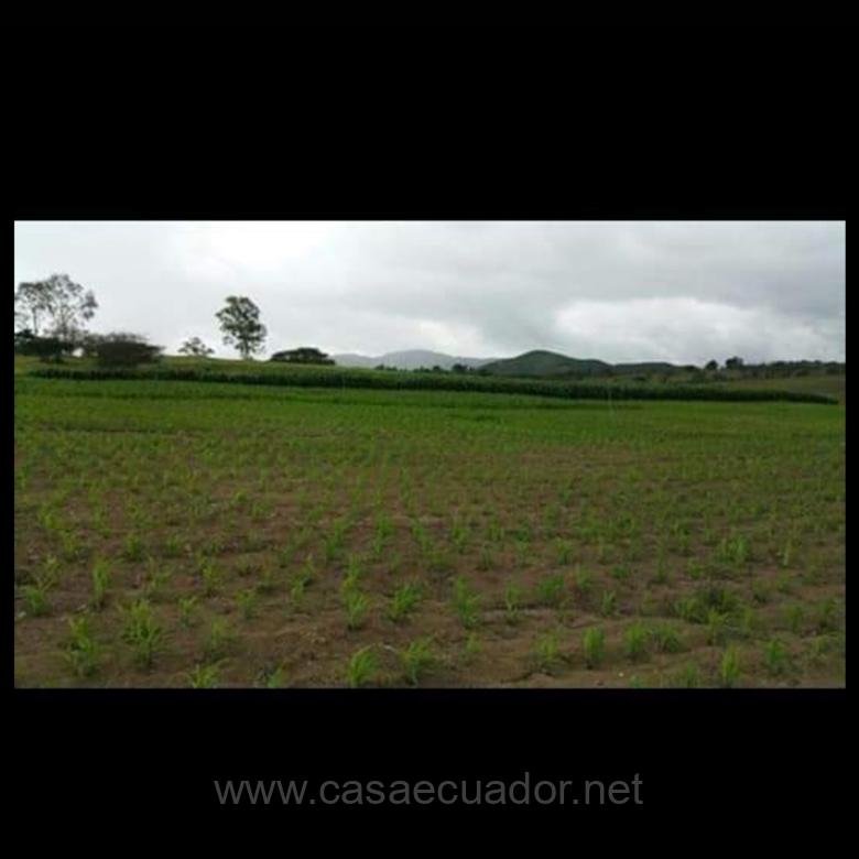 Hacienda en Venta en Santa Isabel, Tablón, Cuenca