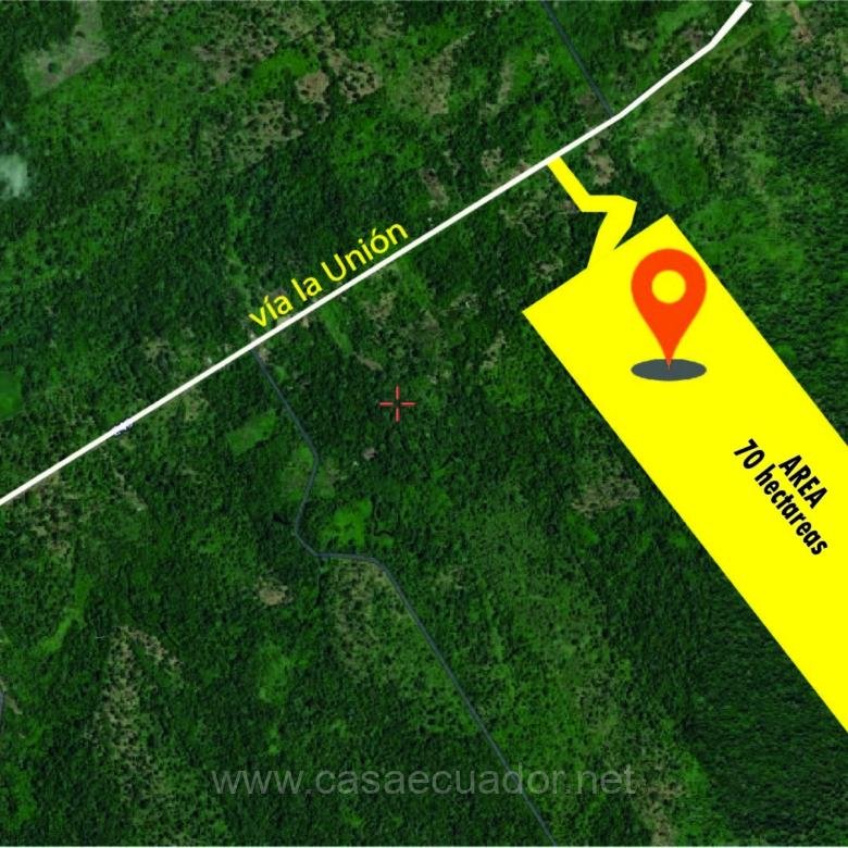 Finca de 70 Hectáreas en Venta en Tiwintza, Morona Santiago