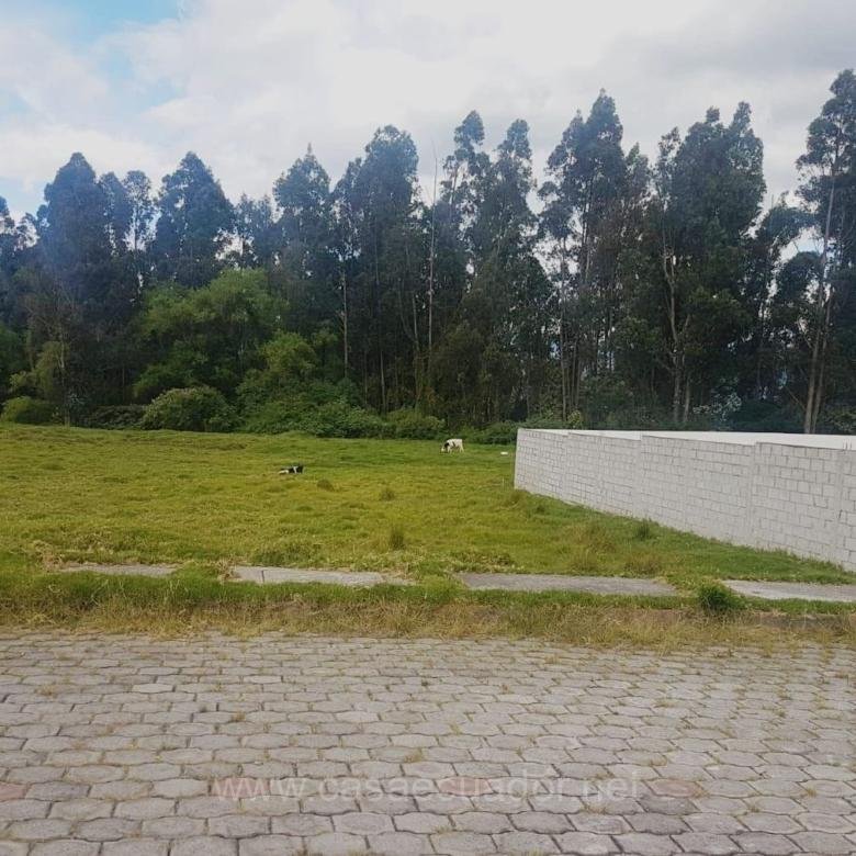 Terreno de 301 m² en Venta en La Salle, Conocoto