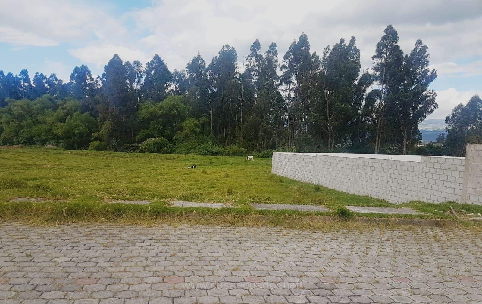 Terreno de 301 m² en Venta en La Salle, Conocoto