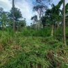 finca en venta en Tiwintza Morona Santiago vista general del terreno