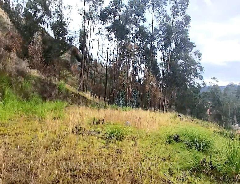 Terreno con casa de campo en venta en Sitincay Déleg