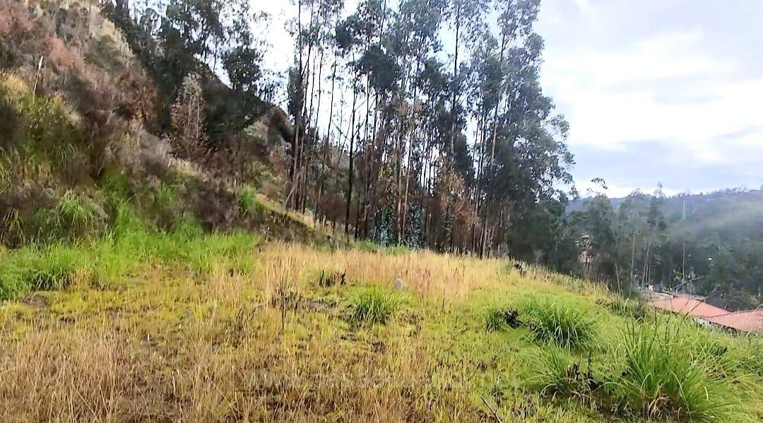 Terreno con casa de campo en venta en Sitincay Déleg