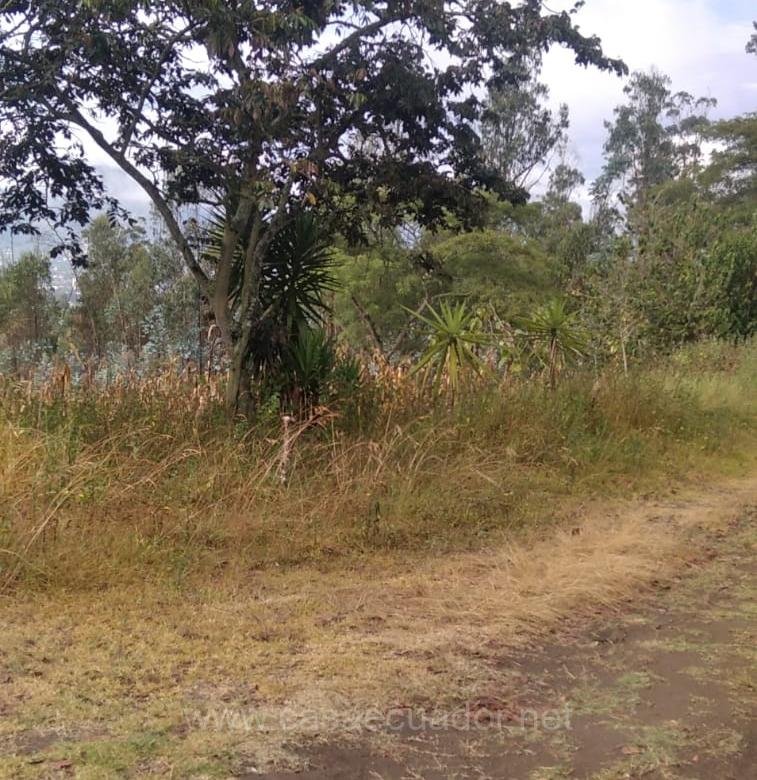 Lote de 10000 m² en Nayón