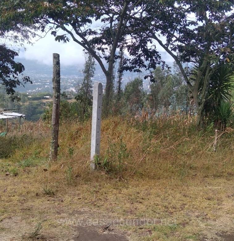 Lote de 10000 m² en Nayón