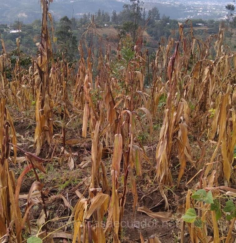 Terreno en venta en Nayón sector Fataguille