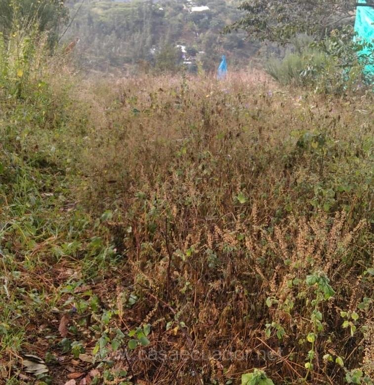 Terreno en venta en Nayón sector Fataguille