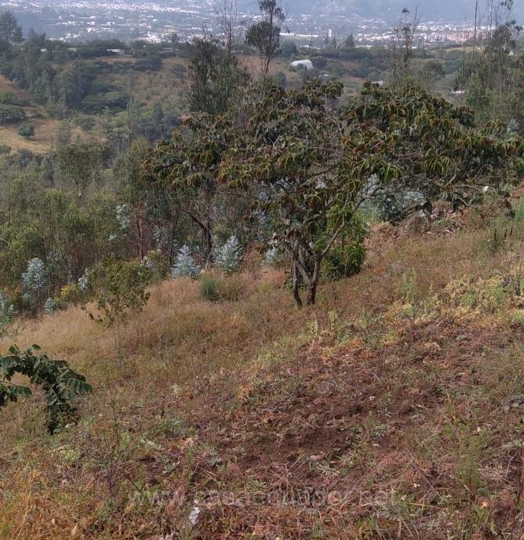 Terreno en venta en Nayón sector Fataguille