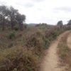 Terreno de 5000 m² vía a la Costa