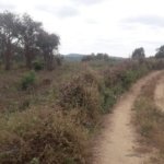 Terreno de 5000 m² vía a la Costa