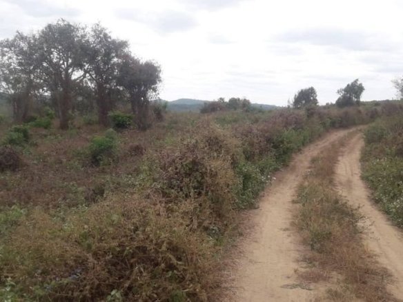 Terreno de 5000 m² vía a la Costa