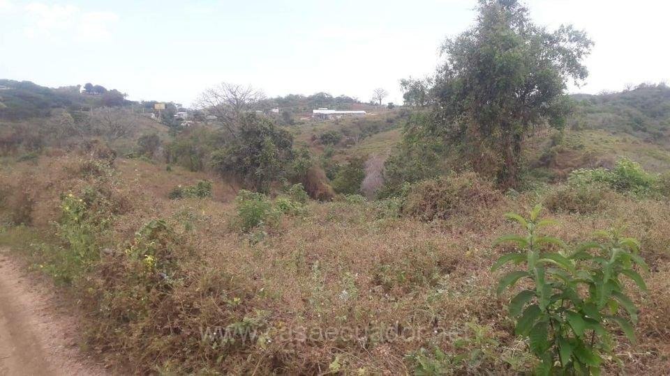 Terreno en venta vía a la Costa