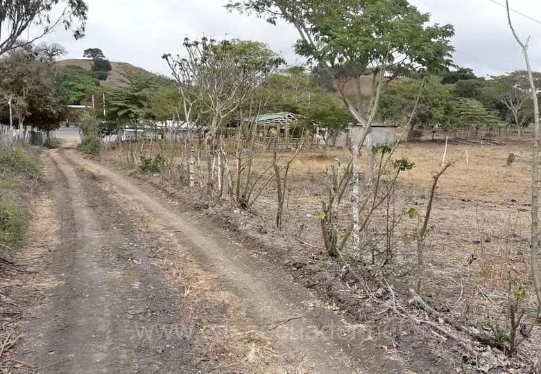 Terreno de 5000 m² vía a la Costa