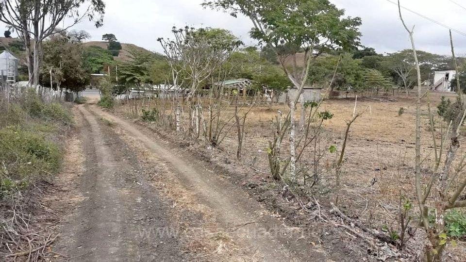 Terreno de 5000 m² vía a la Costa