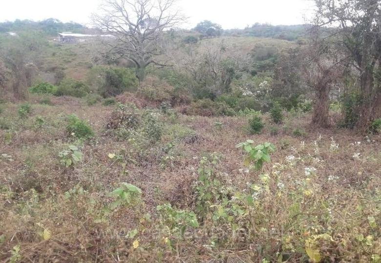 Terreno en venta vía a la Costa