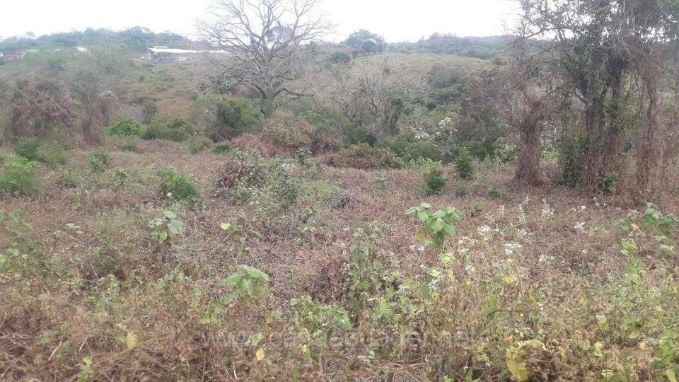 Terreno en venta vía a la Costa