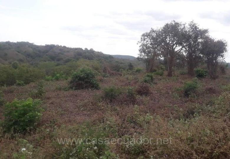 Terreno en venta vía a la Costa
