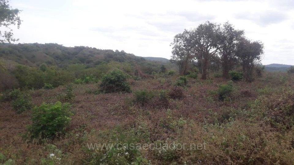 Terreno en venta vía a la Costa