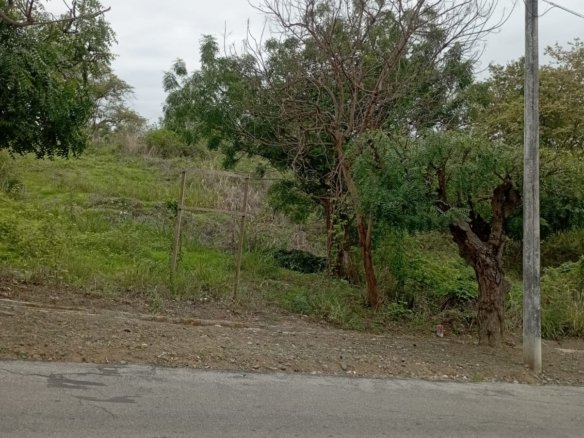 Terreno en venta en Lomas del Bosque Vía a la Costa