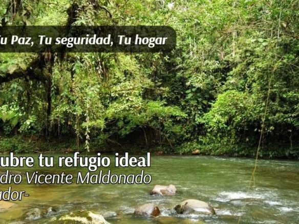 terreno en venta pedro vicente maldonado