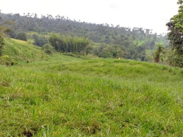 terreno de inversión en venta iguiñaro quito