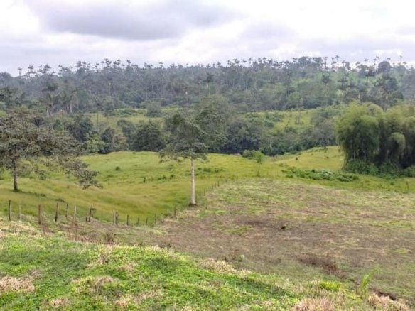 terreno estratégico en venta iguiñaro quito