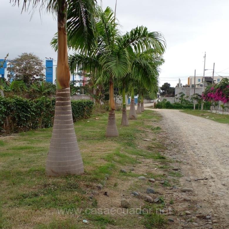 Terreno en venta Lote de venta Atacames 1500 m2