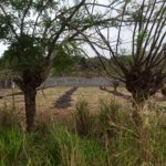 terreno en venta tonsupa