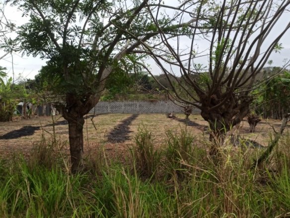 Terreno en venta Lote de venta Atacames 1500 m2