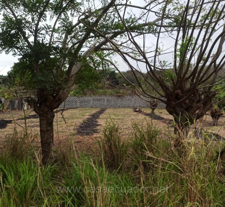 Terreno en venta Lote de venta Atacames 1500 m2