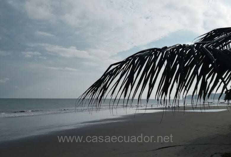 Terreno en venta Lote de venta Atacames 1500 m2