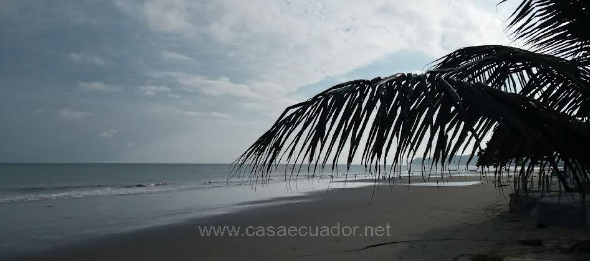 terreno en venta tonsupa 7