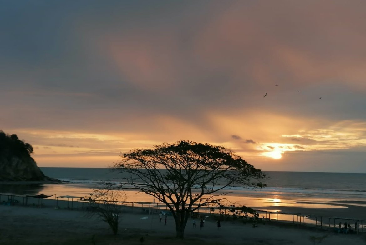 Se vende departamento frente al mar