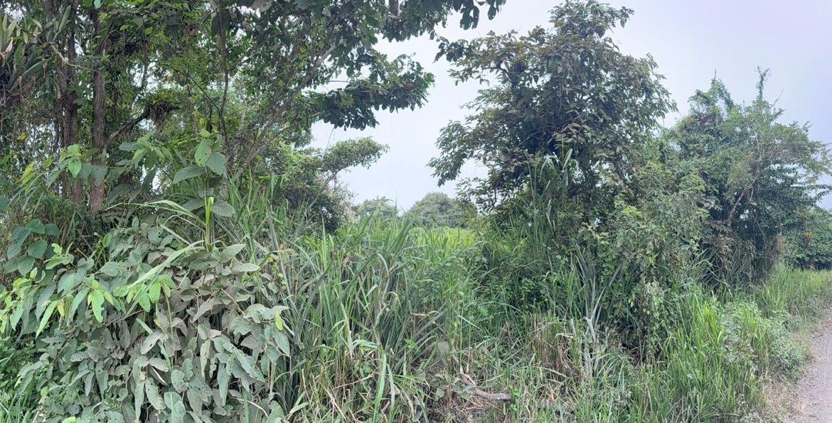 Terreno En Sector El Aromo, Manta, Manabi