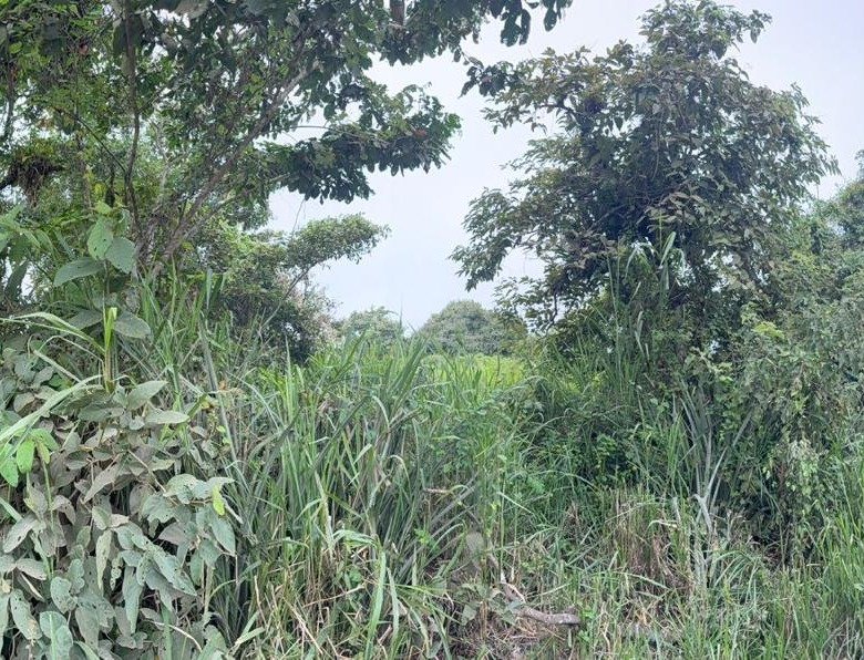 TERRENO EN SECTOR EL AROMO, MANTA, MANABI