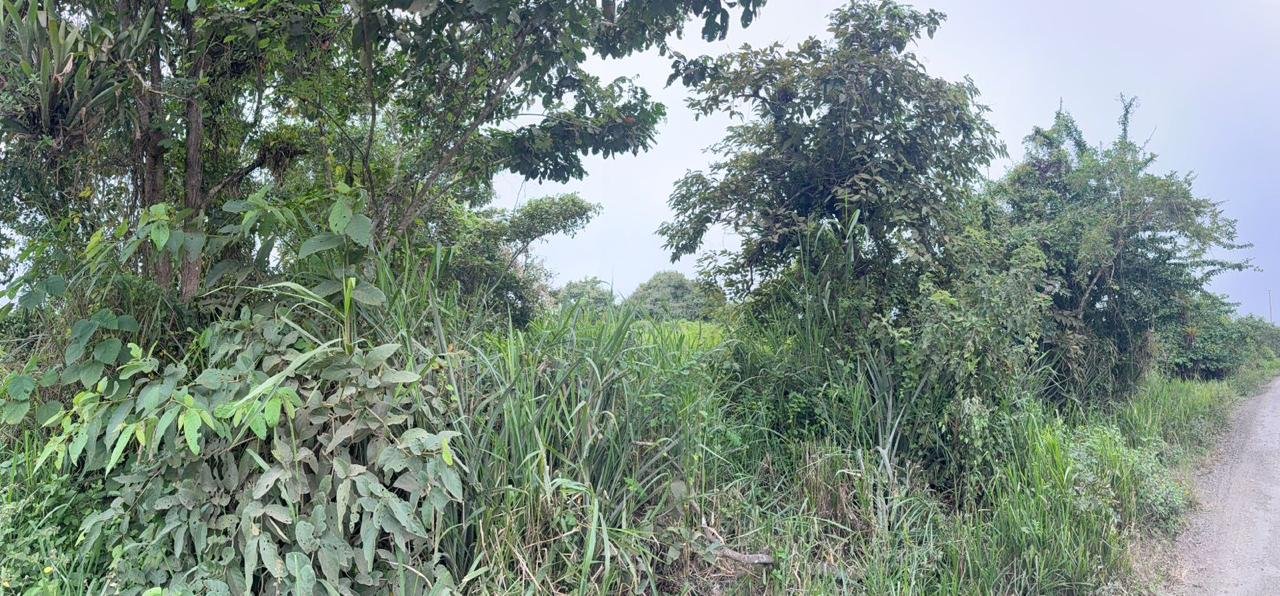 TERRENO EN SECTOR EL AROMO, MANTA, MANABI