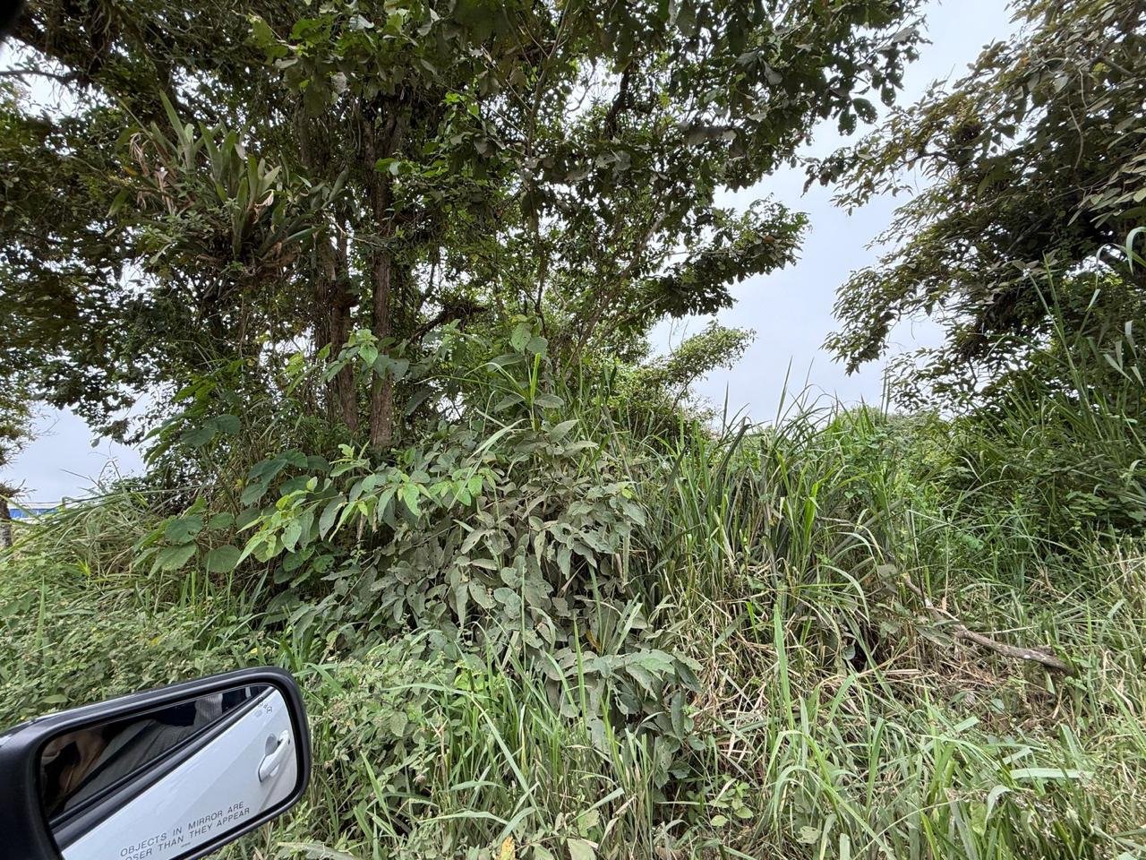TERRENO EN SECTOR EL AROMO, MANTA, MANABI