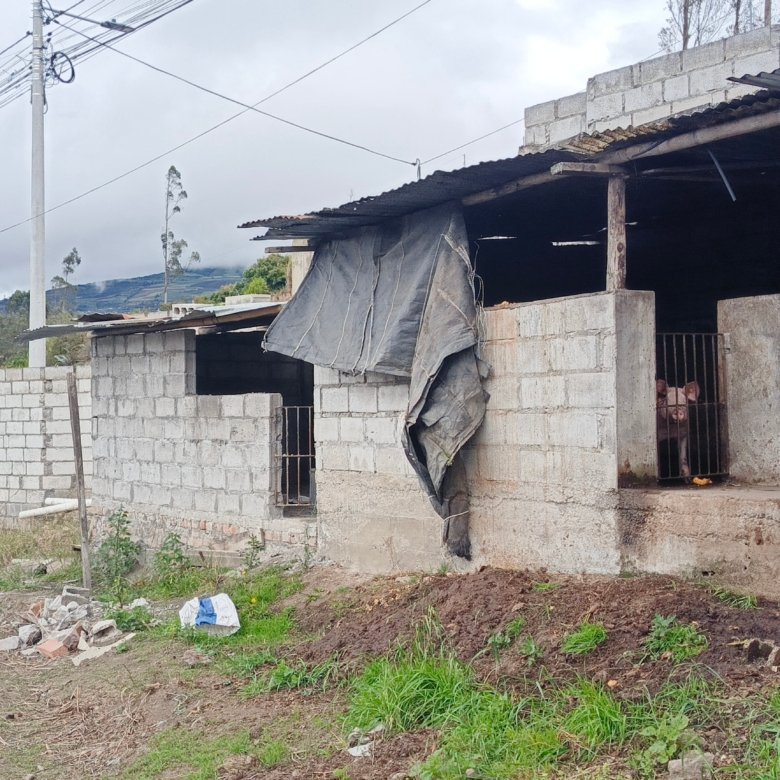 Casa de 4 Dormitorios en Venta en Pelileo Grande, Tungurahua