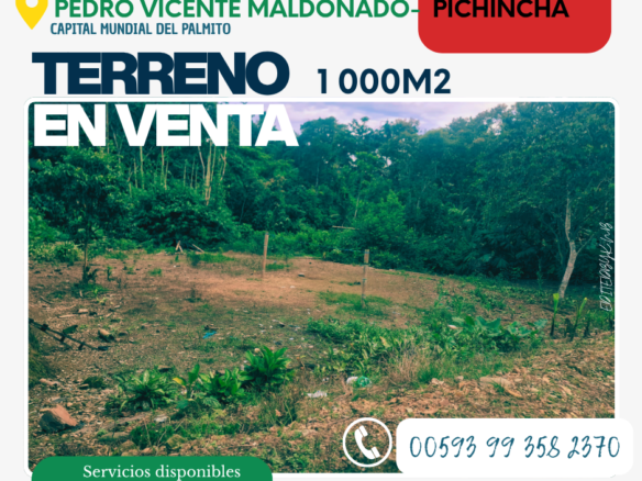 Terreno en venta Pedro Vicente Maldonado 1000 m²