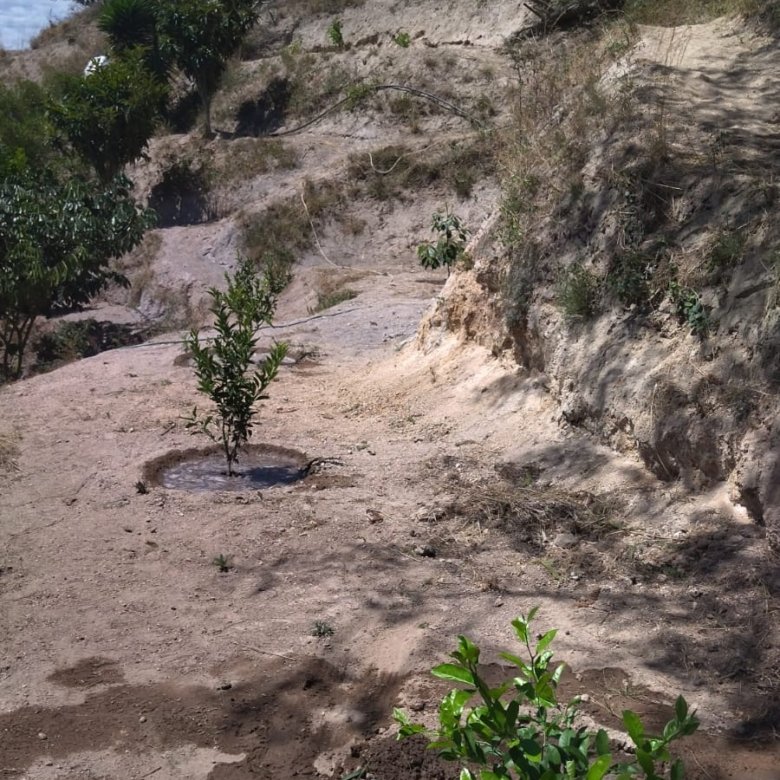 Terreno en Venta Guayllabamba 1100 m² Sector Pueblo Viejo