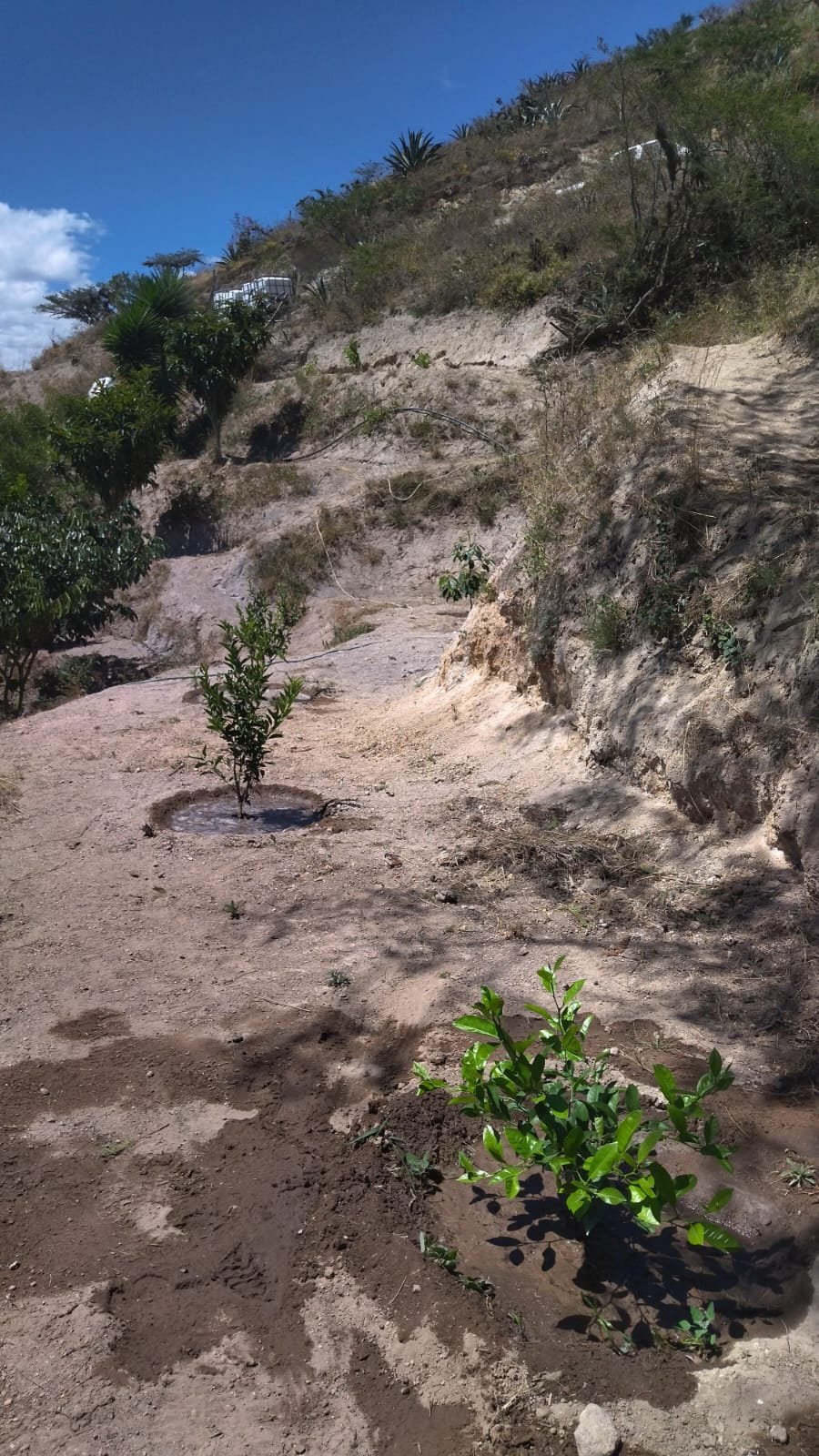 Terreno en Venta Guayllabamba 1100 m² Sector Pueblo Viejo
