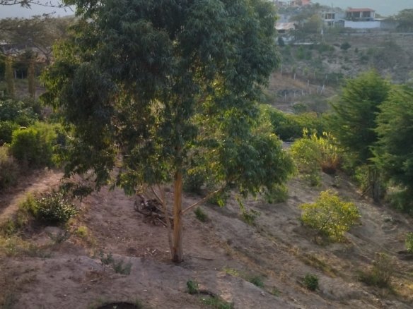 Terreno en venta Guayllabamba 1100 m²
