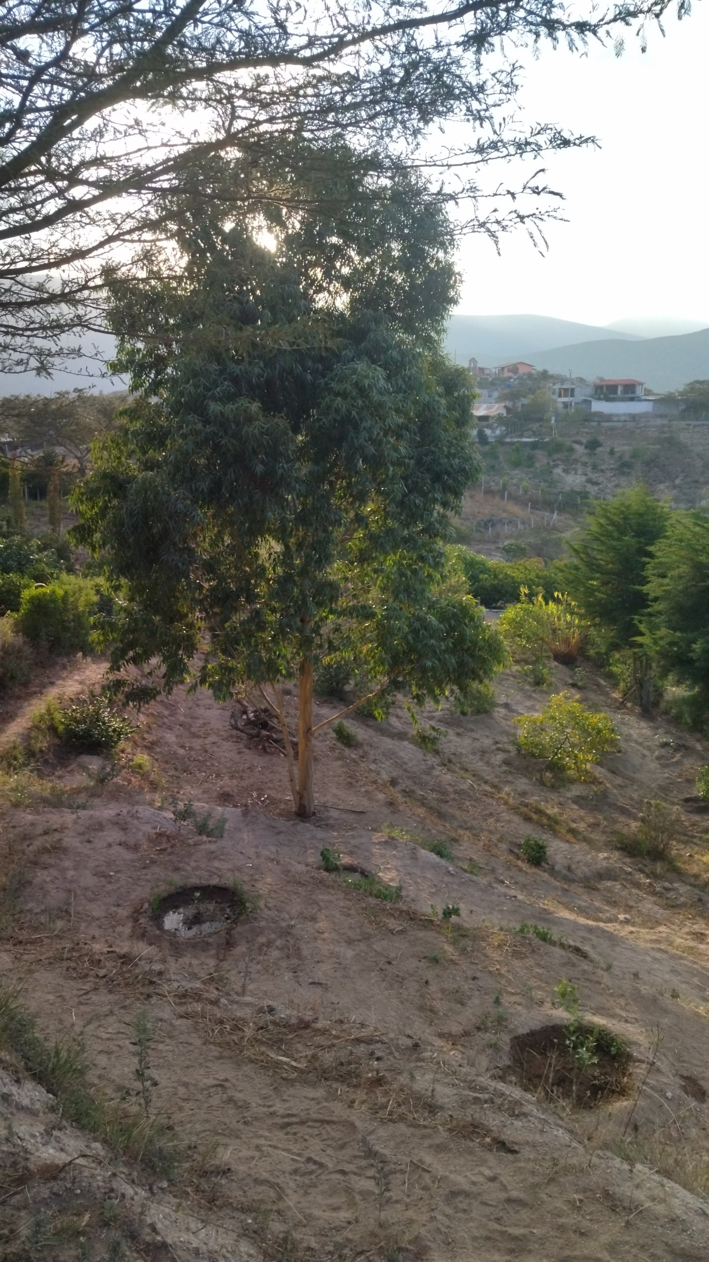 Terreno en venta en Quito, Pichincha