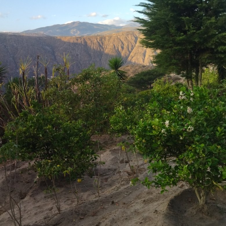 Terreno en Venta Guayllabamba 1100 m² Sector Pueblo Viejo