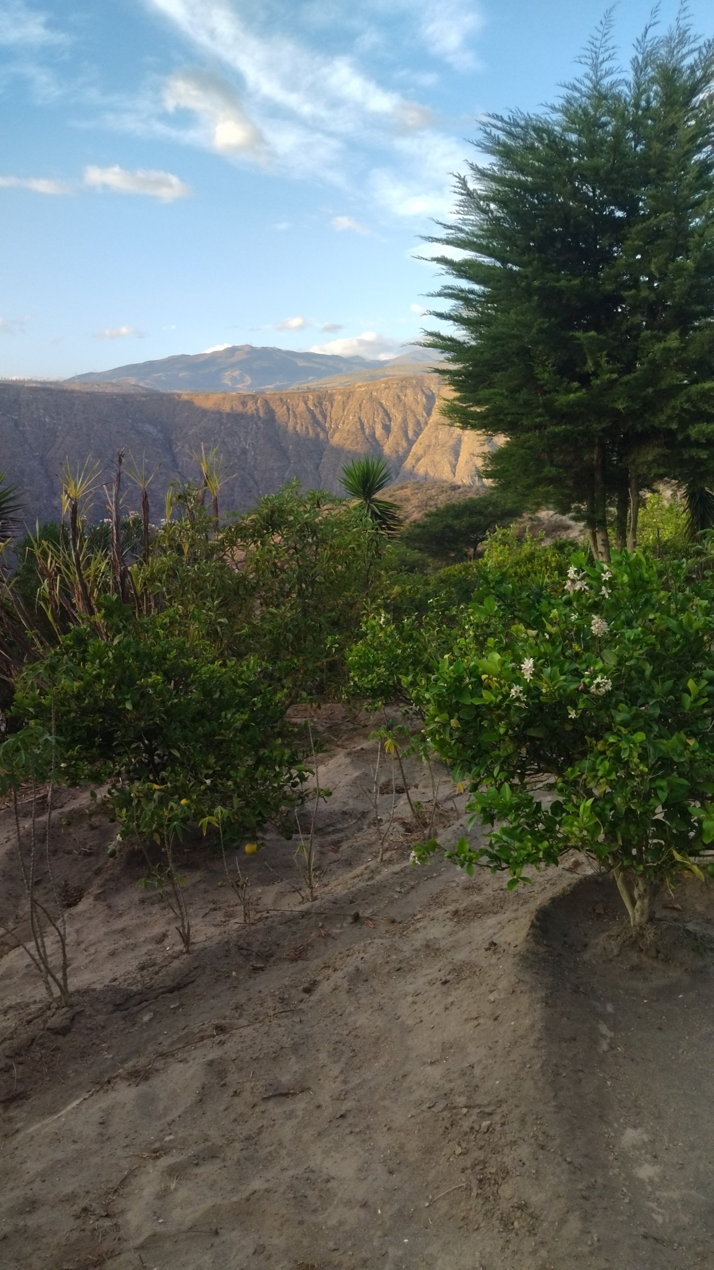 Terreno en Venta Guayllabamba 1100 m² Sector Pueblo Viejo